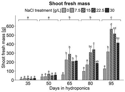 Molecular analysis of the reactions in Salicornia europaea to varying NaCl concentrations at various stages of development to better exploit its potential as a new crop plant